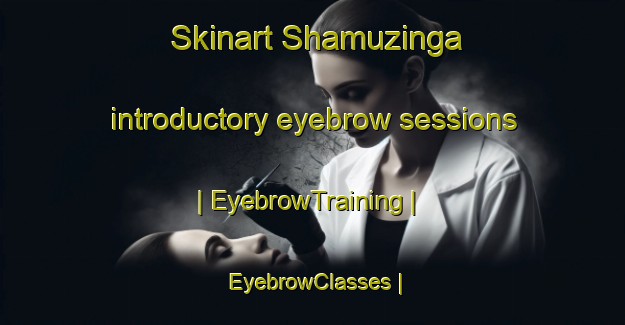 Skinart Shamuzinga introductory eyebrow sessions | EyebrowTraining | EyebrowClasses | SkinartTraining-the Democratic Republic of the Congo
